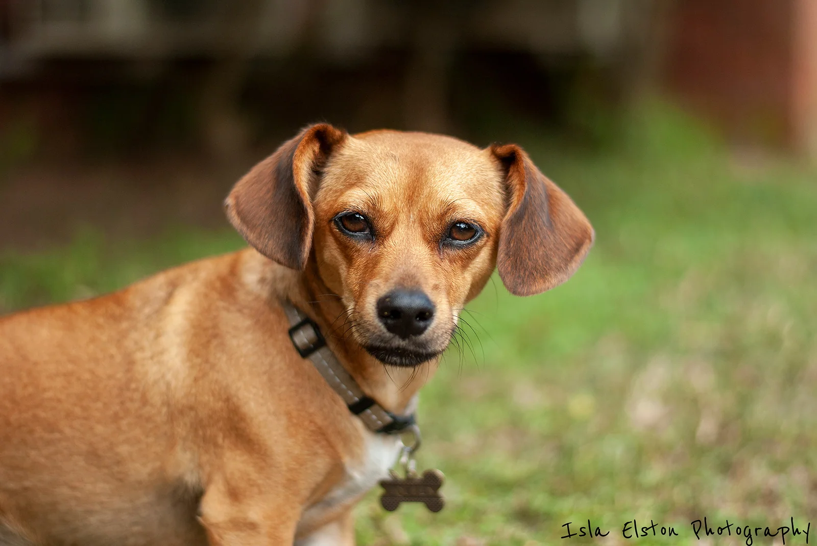 Bella Bean, Amanzimtoti