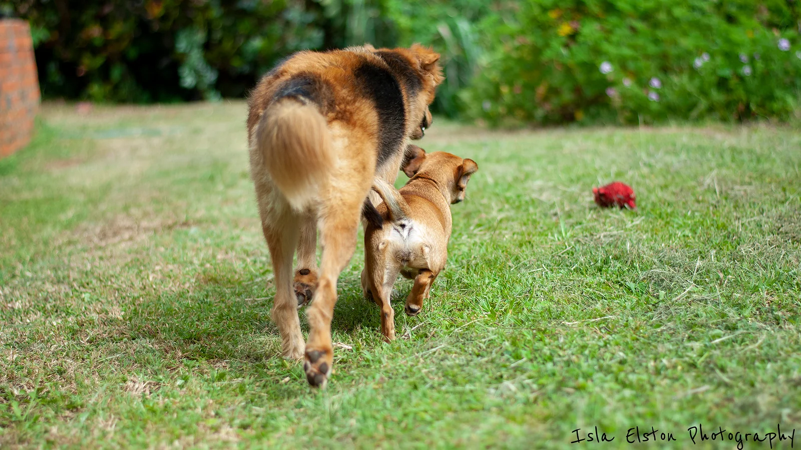 Pooh & Piglet, Amanzimtoti